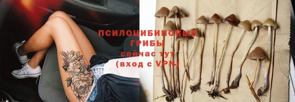 ECSTASY Горно-Алтайск