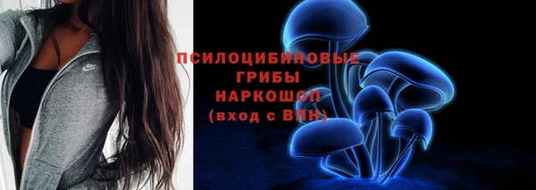 ECSTASY Горно-Алтайск