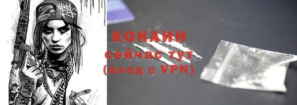 гидра Горняк