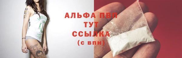 гидра Горняк