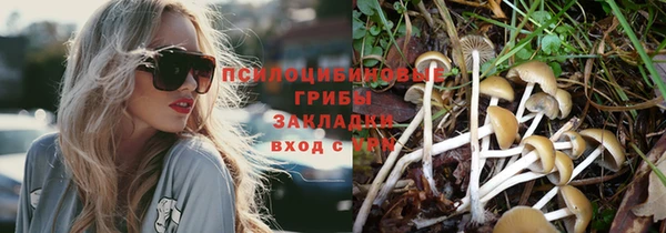 Альфа ПВП Горнозаводск