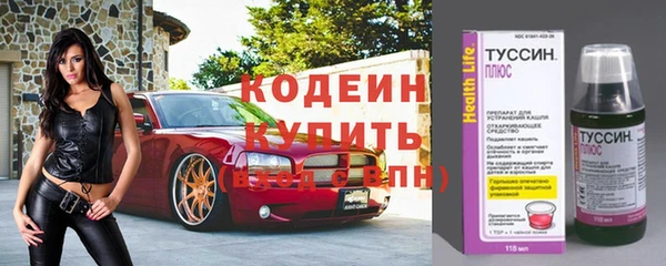 гидра Горняк