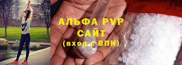 мяу мяу мука Гусь-Хрустальный