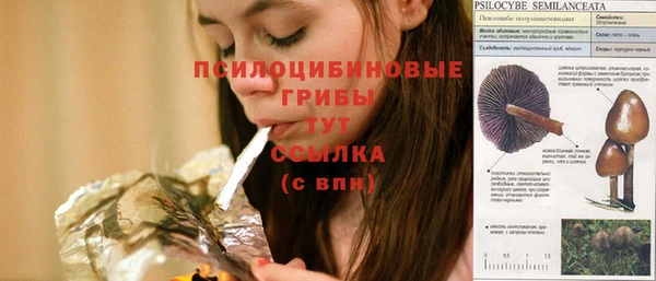 гидра Горняк