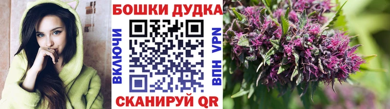 МАРИХУАНА план  Купить  Новотроицк 